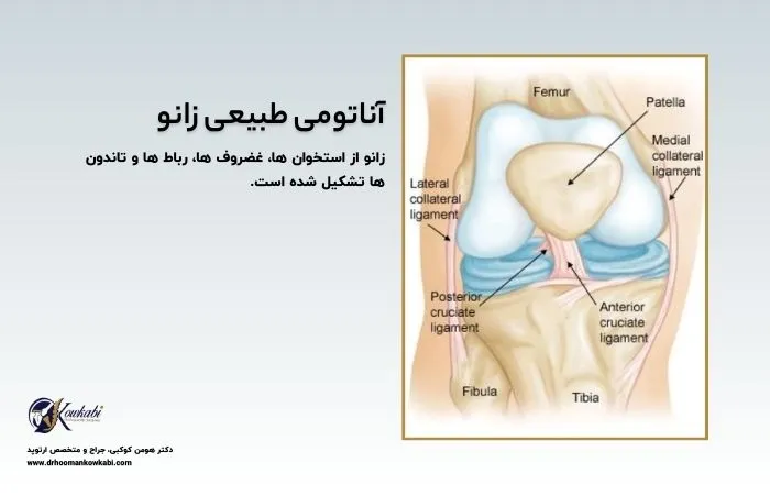 علت صدا دادن زانو