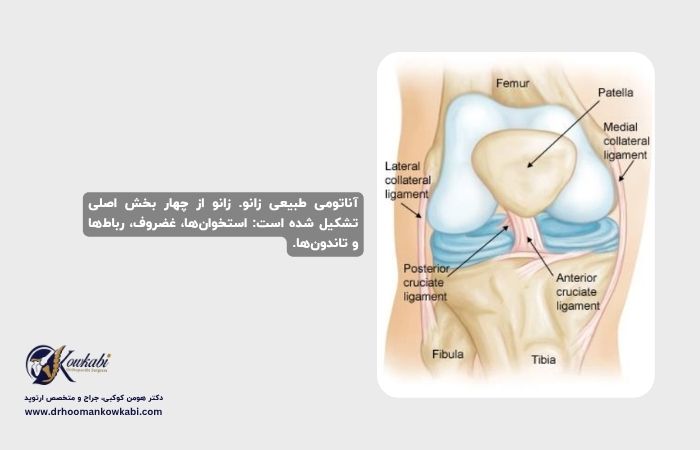 آسیب رباط جانبی زانو: راهنمای کامل علل، علائم و درمان آسیبهای رباط جانبی