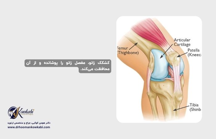 شکستگی‌های کشکک زانو